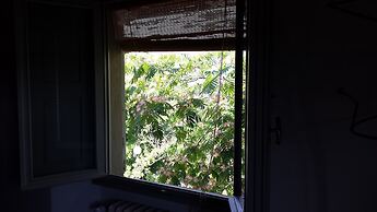 Il Pezzatino