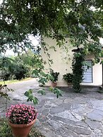 Il Pezzatino