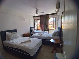 Anzac Golden Bed