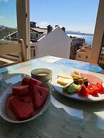 Tulip Guesthouse