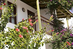 Delfi Hotel & Spa