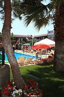 Delfi Hotel & Spa