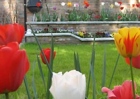 Casa delle Rose B&B