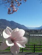 Ruster Resort