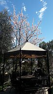 Ruster Resort