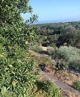 Villa Aresco
