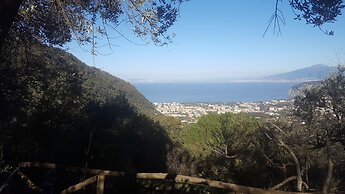 Gli Ulivi Agriturismo