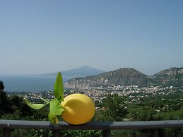 Gli Ulivi Agriturismo
