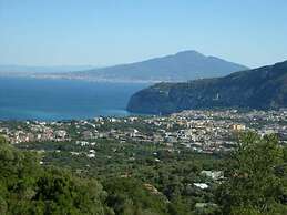 Gli Ulivi Agriturismo