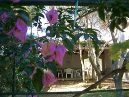 Vis Apartments