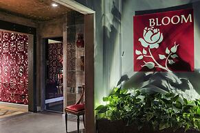 Bloom