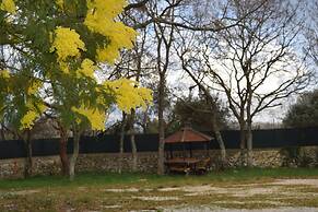 Villaggio Camping Bosco Selva