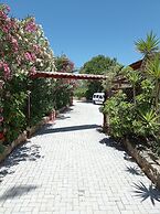 Alexandros Studios