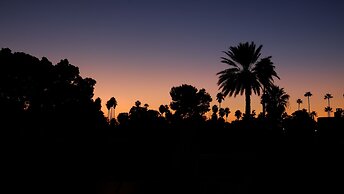 Riad Nafis