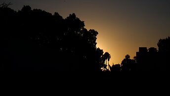 Riad Nafis