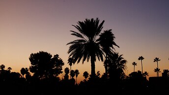 Riad Nafis