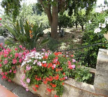 Baglio delle Rose