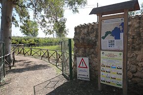 Villa Dei Papiri