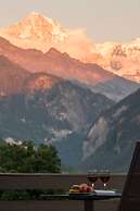 Hotel Berghof Amaranth