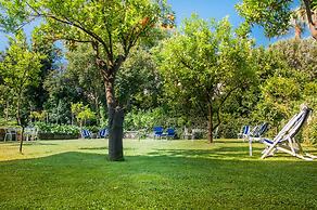 Eliseo Park's