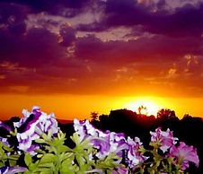 Viole Country Hotel