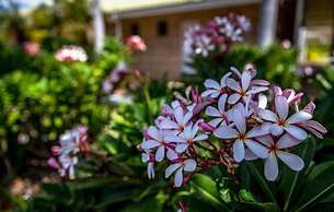 The Kimberley Grande Resort