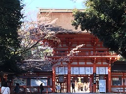 The Screen