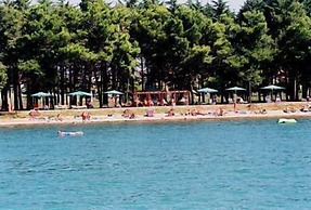 Hotel Cittar