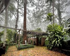 Binna Burra Sky Lodges