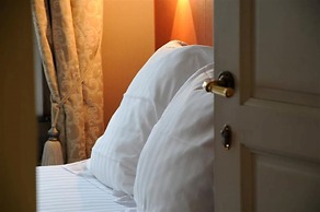 Hotel Albert I