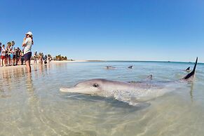 RAC Monkey Mia Dolphin Resort