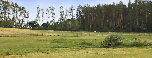 Waldhotel Bächlein