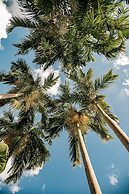 Palms City Resort