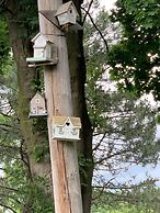 Green Oaks Bed and Breakfast