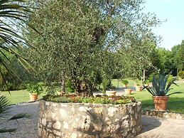 Hotel Il Pietreto