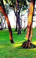 VGP Golden Beach Resort