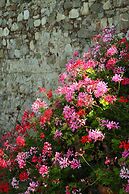 B&B Rovezzano
