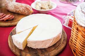 Olivo