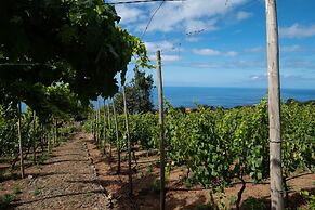 Quinta das Vinhas