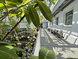 City Lounge Hotel