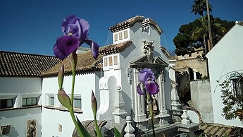 Hotel Plateros