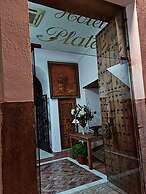 Hotel Plateros