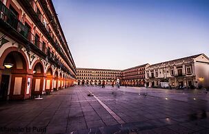 Hotel Plateros