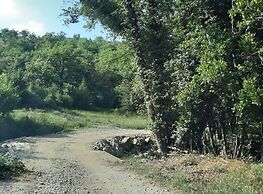 Borgo Livernano