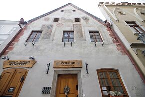 Hotel Svamberský Dum