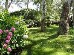 Hotel Del Bosque