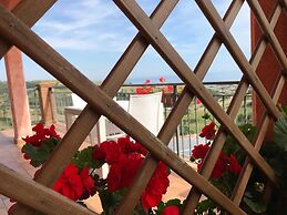 I Cardinali