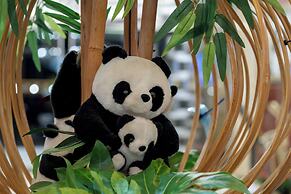 Chengdu Tianfu Sunshine Hotel