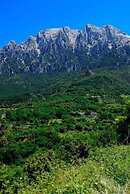 Enis Monte Maccione
