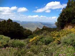 Enis Monte Maccione